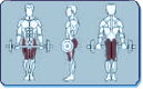Chest Muscles Worked by Butterly Leg Squats